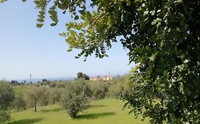 Il Casale Il Sole E La Margherita Campofelice Di Roccella