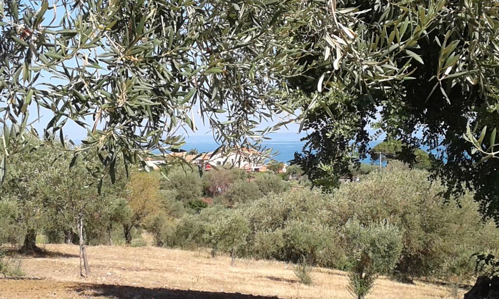 Il Casale il Sole e la Margherita Campofelice Di Roccella Esterno foto